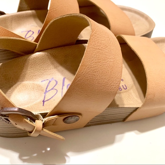 🐡 Blowfish 🐡 - Picture 7 of 7